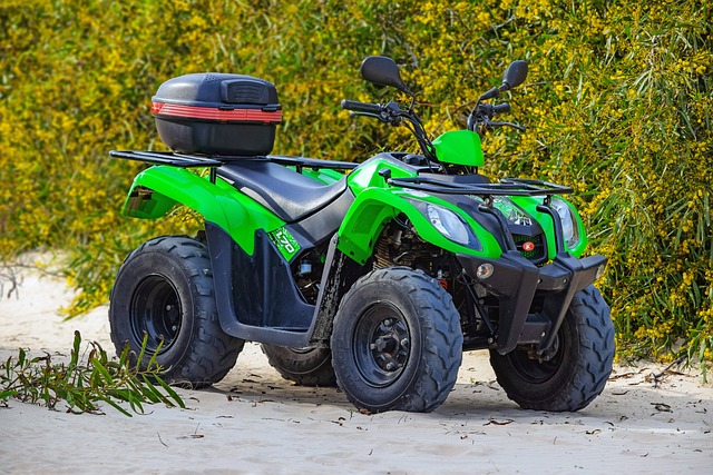 wholesale atv
